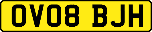 OV08BJH