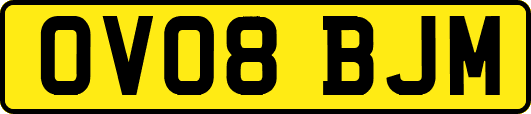 OV08BJM
