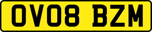 OV08BZM