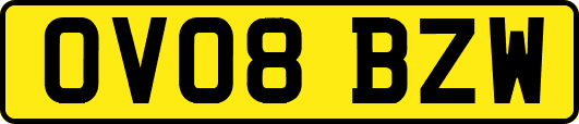 OV08BZW