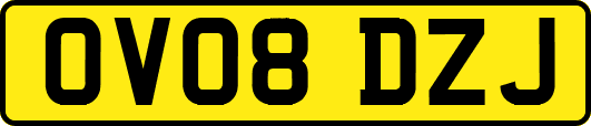 OV08DZJ