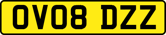 OV08DZZ