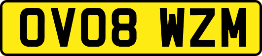 OV08WZM