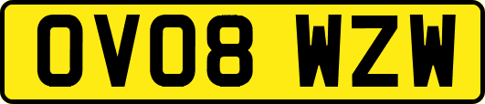 OV08WZW