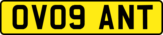 OV09ANT