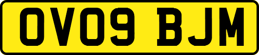 OV09BJM