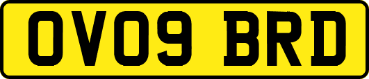 OV09BRD