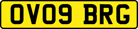 OV09BRG