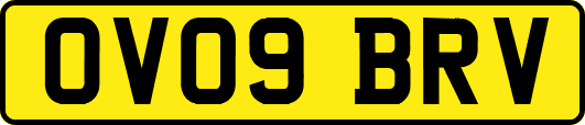 OV09BRV