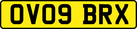 OV09BRX