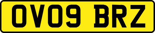 OV09BRZ