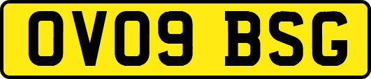 OV09BSG