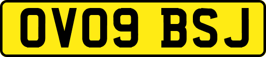 OV09BSJ