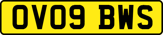 OV09BWS