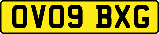 OV09BXG