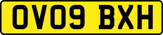 OV09BXH