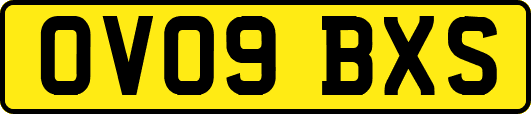 OV09BXS