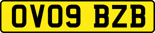 OV09BZB