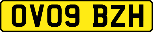 OV09BZH