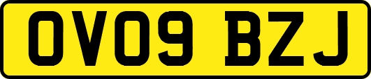 OV09BZJ
