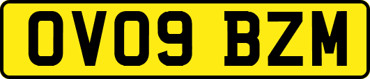 OV09BZM