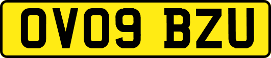 OV09BZU