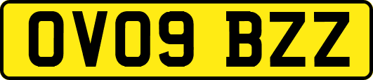 OV09BZZ