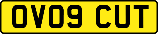 OV09CUT