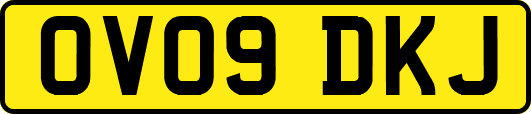 OV09DKJ