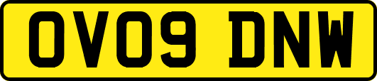 OV09DNW