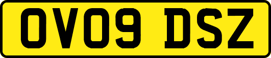 OV09DSZ