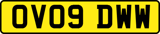 OV09DWW