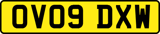 OV09DXW