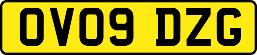 OV09DZG