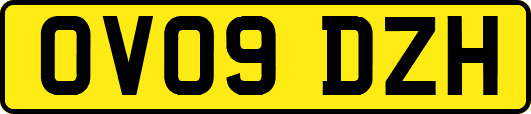 OV09DZH