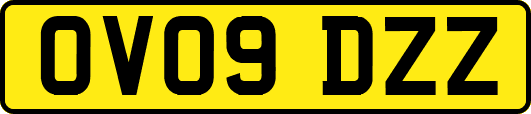OV09DZZ