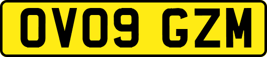 OV09GZM