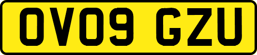 OV09GZU
