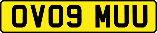OV09MUU
