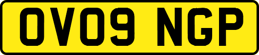 OV09NGP