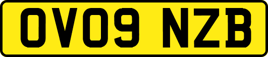 OV09NZB
