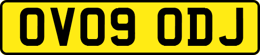 OV09ODJ