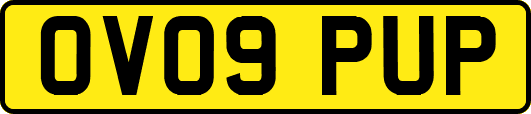 OV09PUP