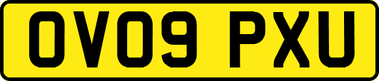OV09PXU