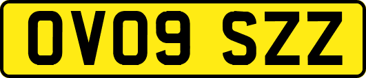 OV09SZZ