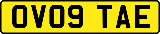 OV09TAE