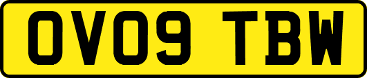 OV09TBW