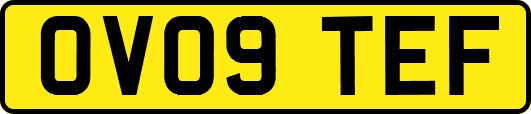 OV09TEF