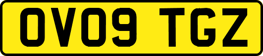 OV09TGZ