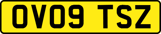 OV09TSZ
